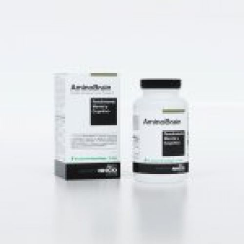 Render AminoBrain